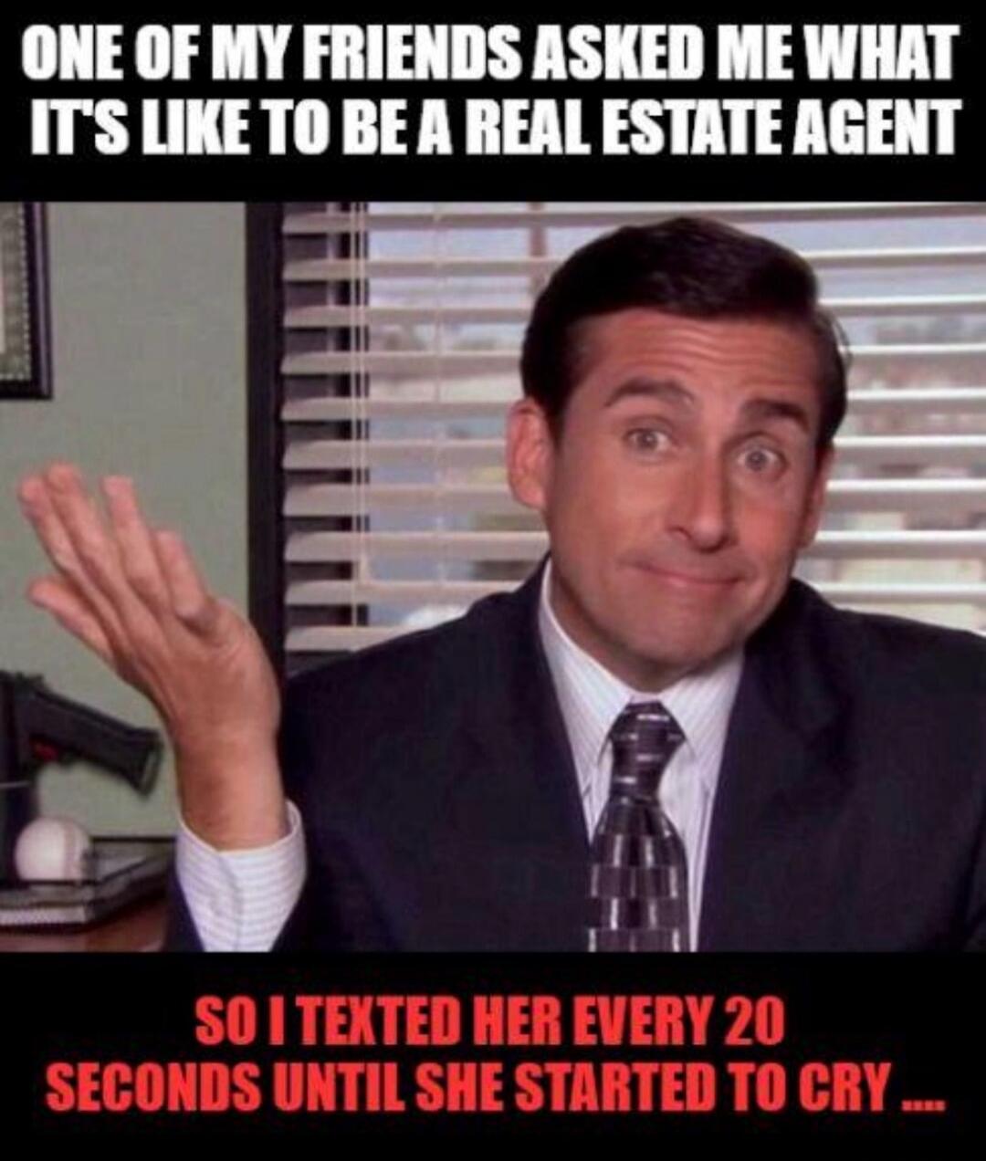 ONE OF MY FRIENDS ASKED ME WHAT IT'S LIKE TO BE A REAL ESTATE AGENT SO I TEXTED HER EVERY 20 SECONDS UNTIL SHE STARTED TO CRY ....