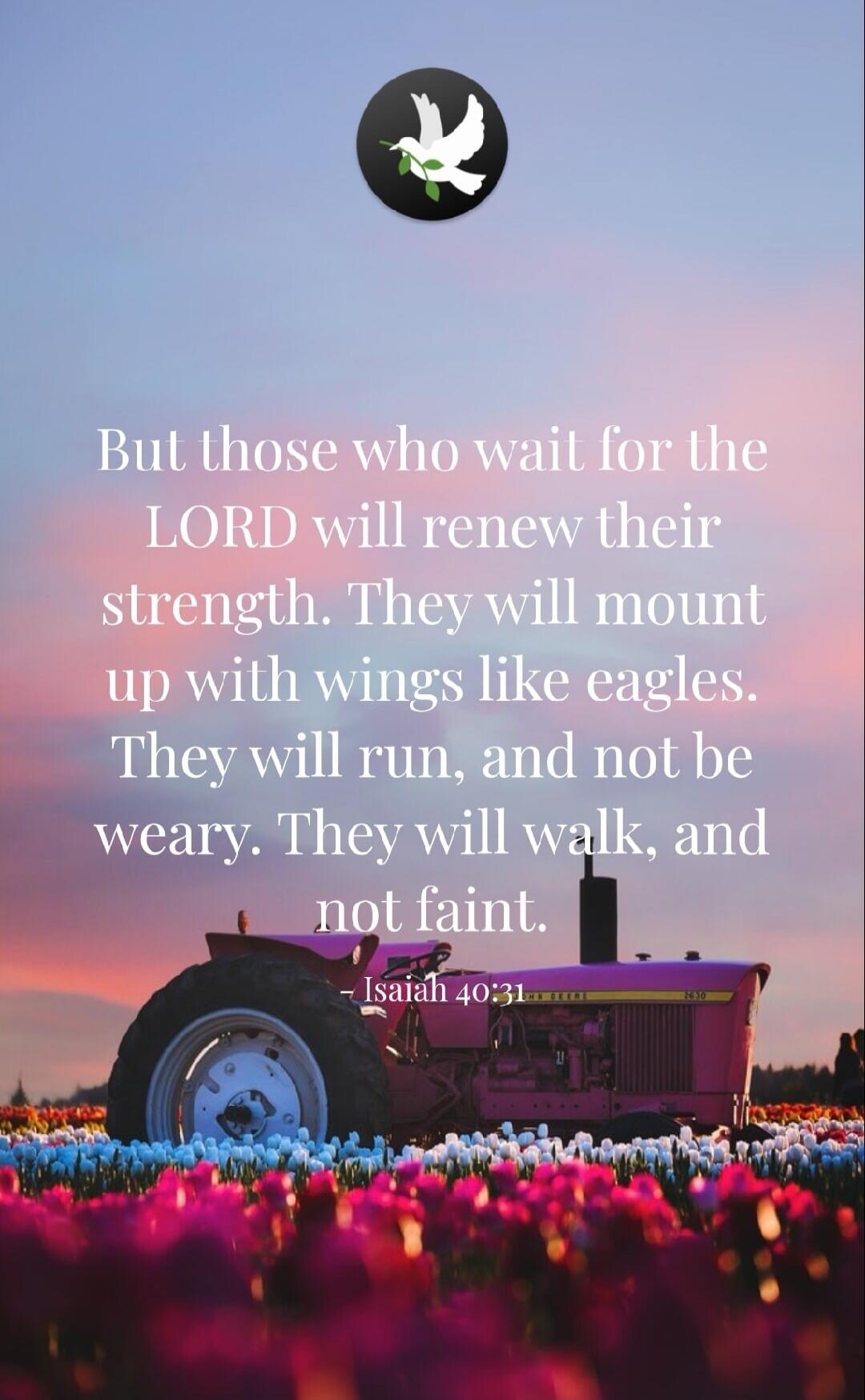 But those who wait for the LORD will renew their strength. They will mount up with wings like eagles. They will run, and not be weary. They will walk, and not faint. - Isaiah 40:31