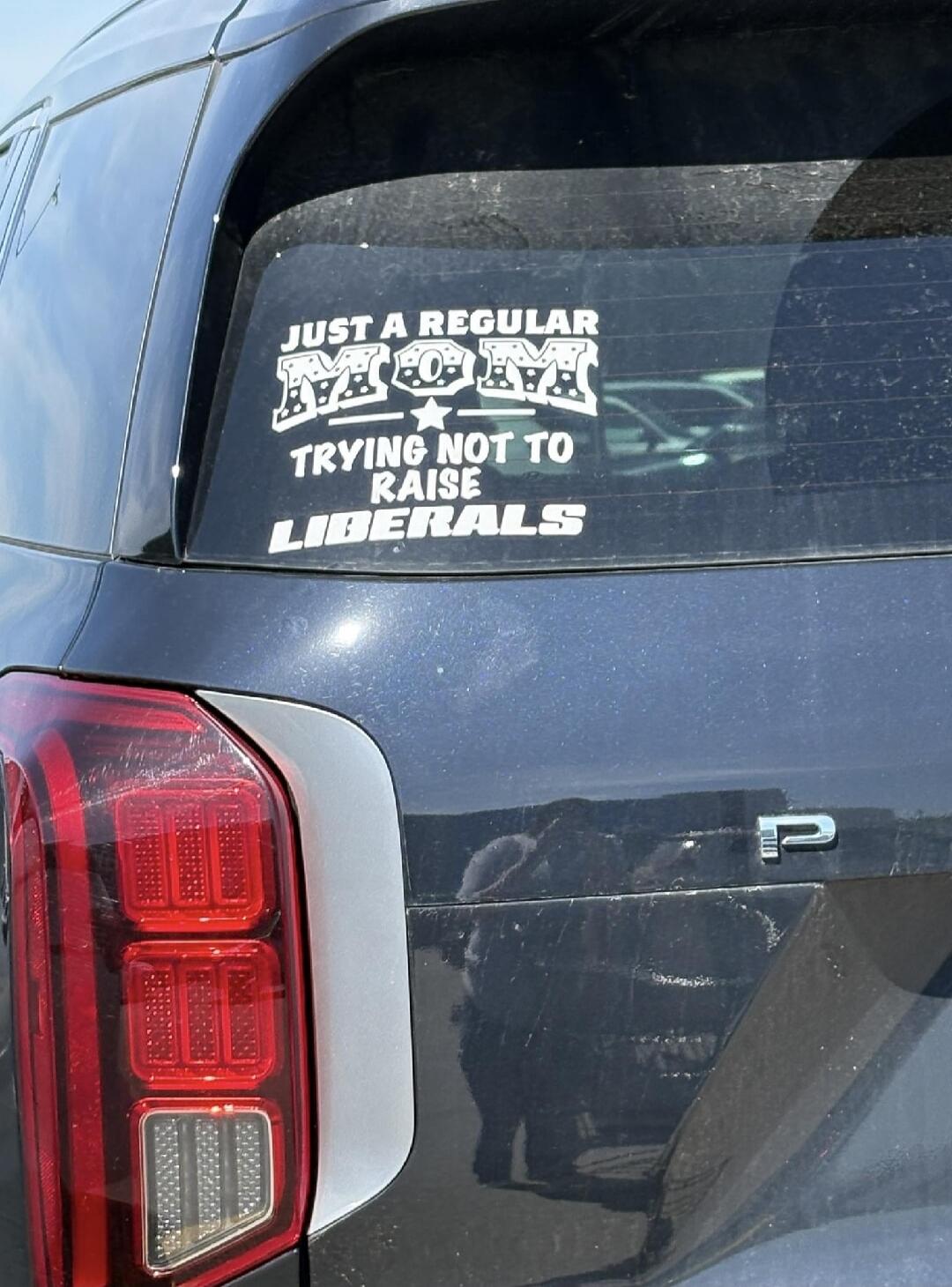 JUST A REGULAR MOM TRYING NOT TO RAISE LIBERALS