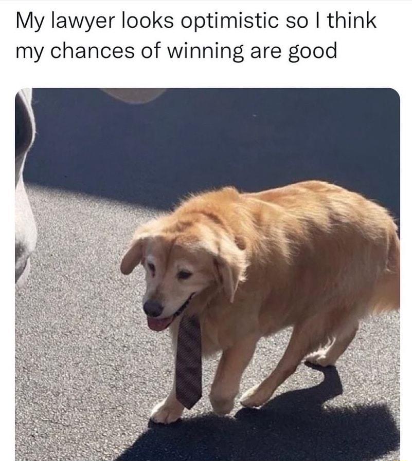 My lawyer looks optimistic so think my chances of winning are good