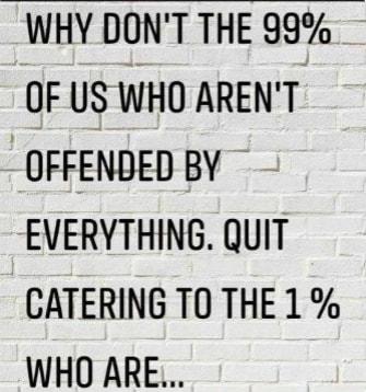 WHY DONT THE 99 OF US WHO ARENT OFFENDED BY EVERYTHING QUIT CATERING TO THE 1 WHO ARE