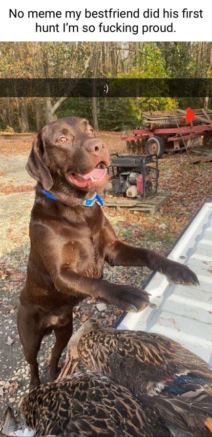 No meme my bestfriend did his first hunt Im so fucking proud