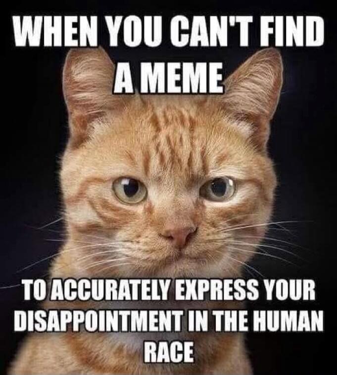 WHEN YOU CAN'T FIND A MEME TO ACCURATELY EXPRESS YOUR DISAPPOINTMENT IN THE HUMAN RACE
