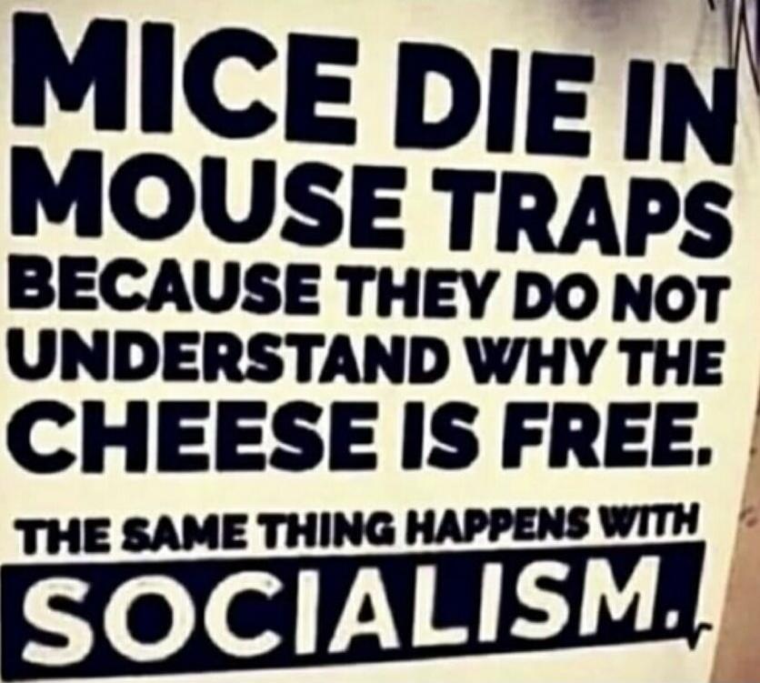 MICE DIE IN MOUSE TRAPS BECAUSE THEY DO NOT UNDERSTAND WHY THE CHEESE IS FREE. THE SAME THING HAPPENS WITH SOCIALISM.
