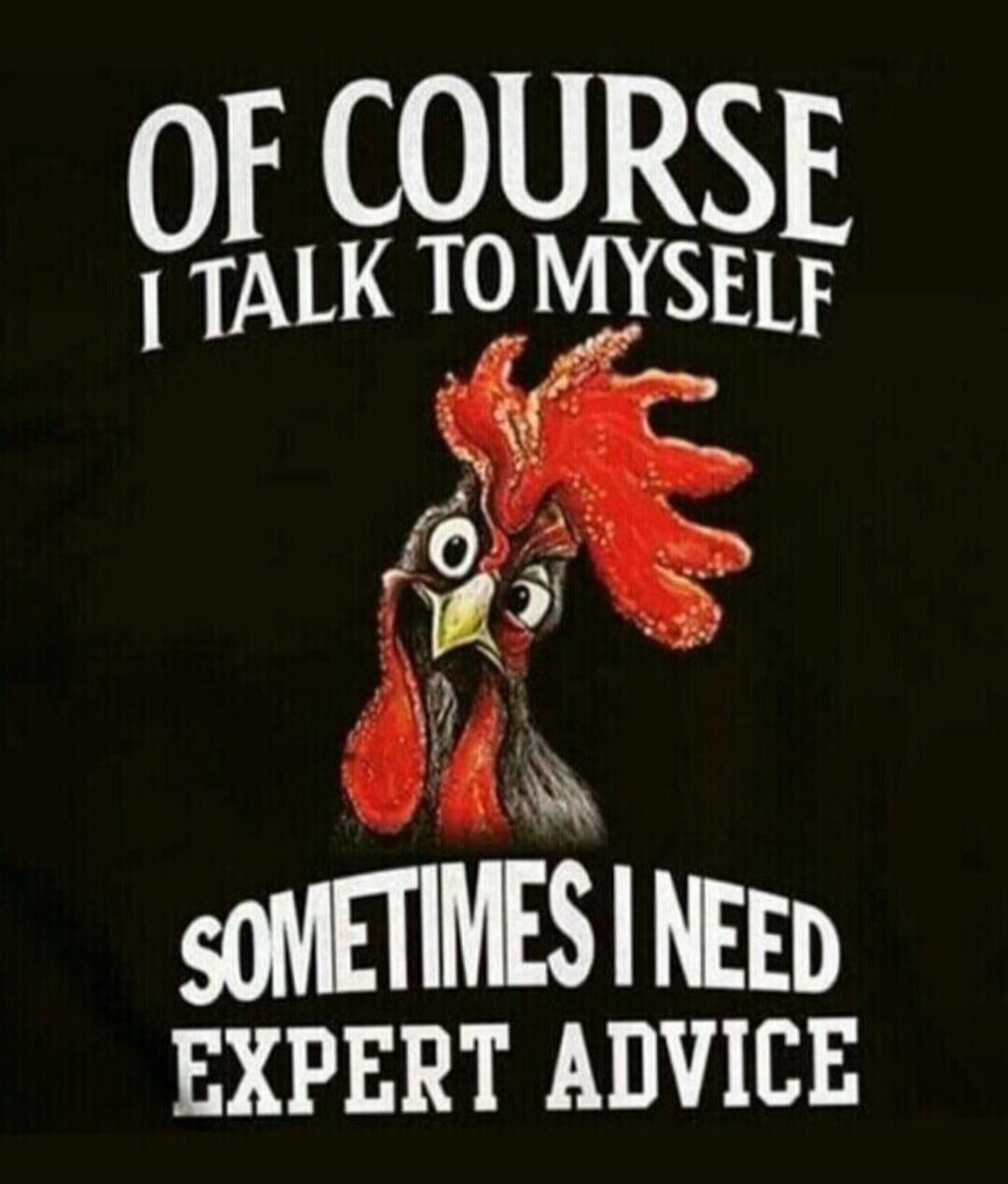 OF COURSE I TALK TO MYSELF SOMETIMES I NEED EXPERT ADVICE