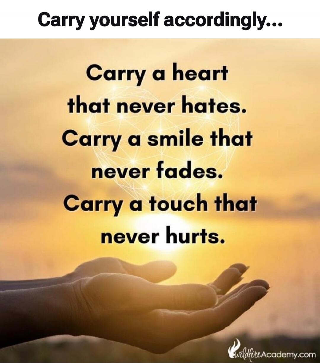Carry yourself accordingly... Carry a heart that never hates. Carry a smile that never fades. Carry a touch that never hurts.