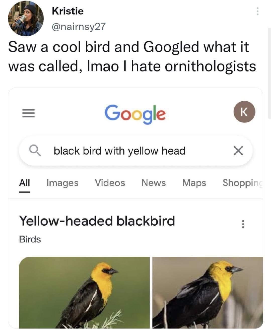Kristie naimsy27 Saw a cool bird and Googled what it was called Imao hate ornithologists Google 0o O black bird with yellow head X Al Images Videos News Maps Shoppir Yellow headed blackbird Birds