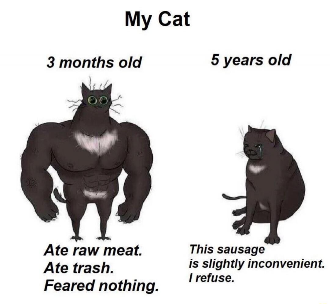 My Cat 3 months old 5 years old Ate raw meat. Ate trash. Feared nothing. This sausage is slightly inconvenient. I refuse.