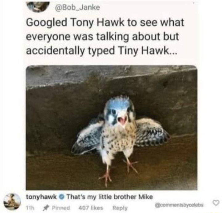 Googled Tony Hawk to see what everyone was talking about but accidentally typed Tiny Hawk tonyhawk Thats my littie brother Mike