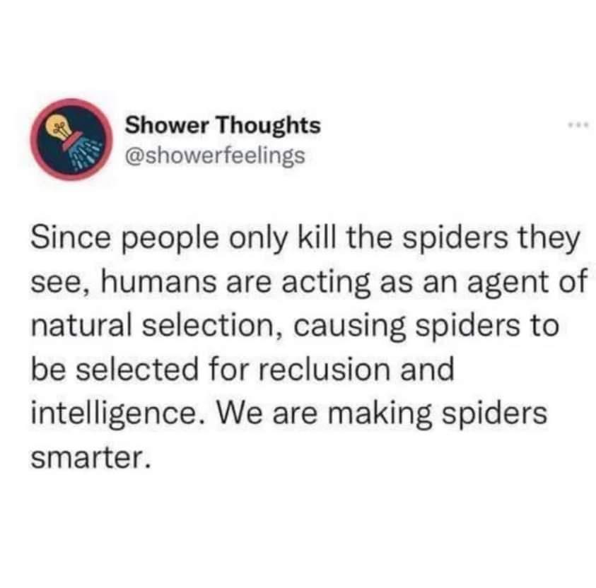 Shower Thoughts showerfeelings Since people only kill the spiders they see humans are acting as an agent of natural selection causing spiders to be selected for reclusion and intelligence We are making spiders smarter