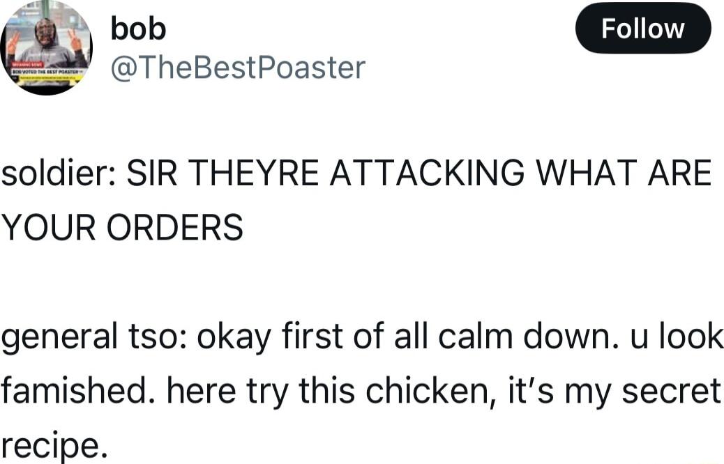 TheBestPoaster soldier SIR THEYRE ATTACKING WHAT ARE YOUR ORDERS general tso okay first of all calm down u look famished here try this chicken its my secret recipe