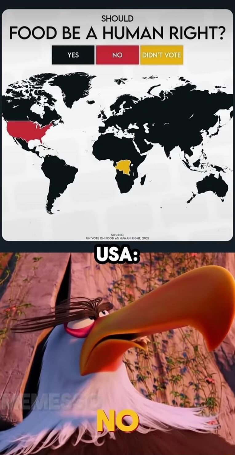 SHOULD FOOD BE A HUMAN RIGHT? YES NO DIDN'T VOTE USA: NO