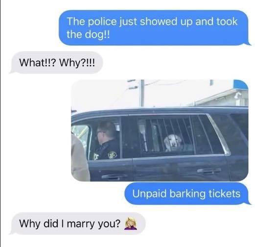 up and npaid barking tickets Why did marry you ga