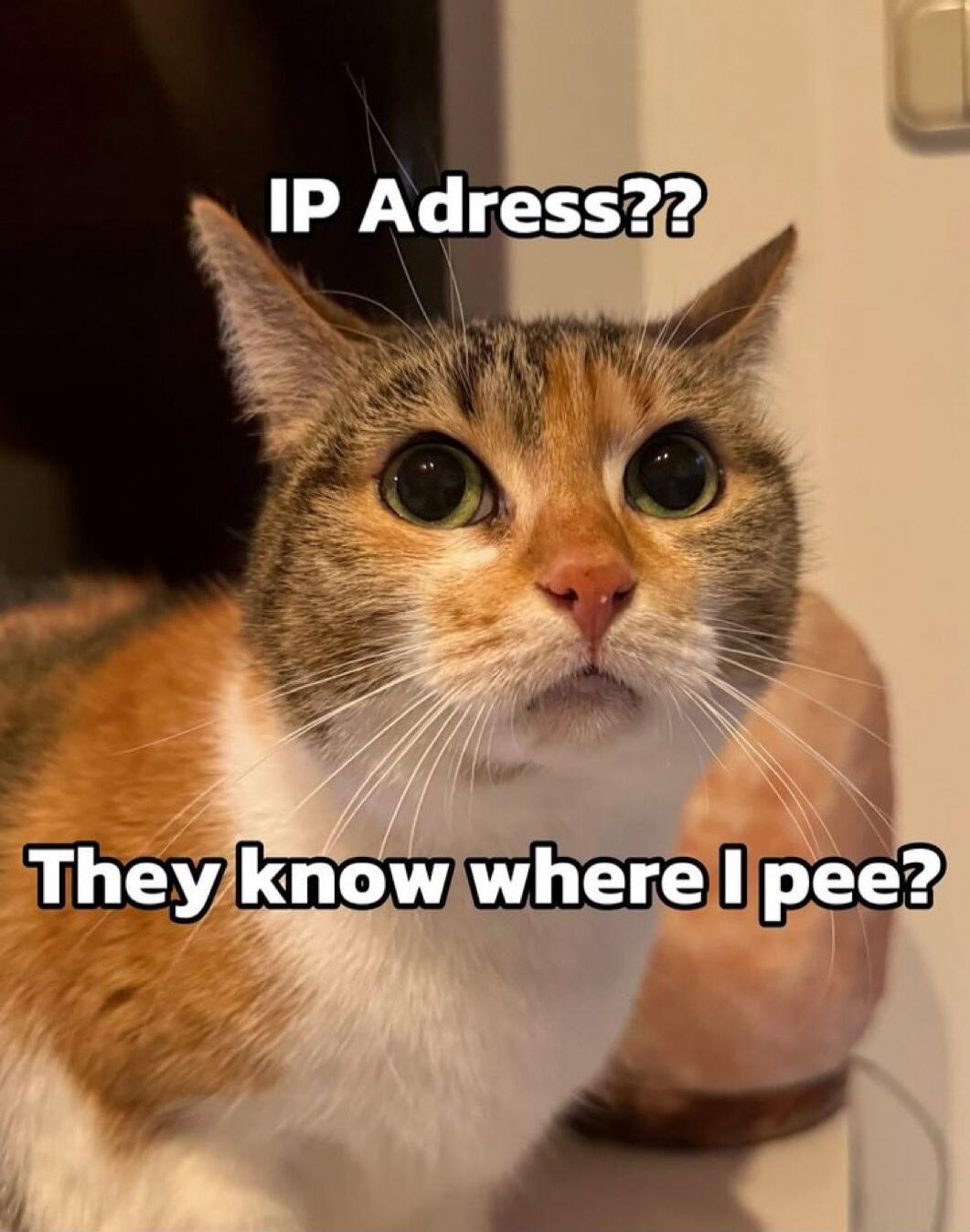 IP Adress2 e