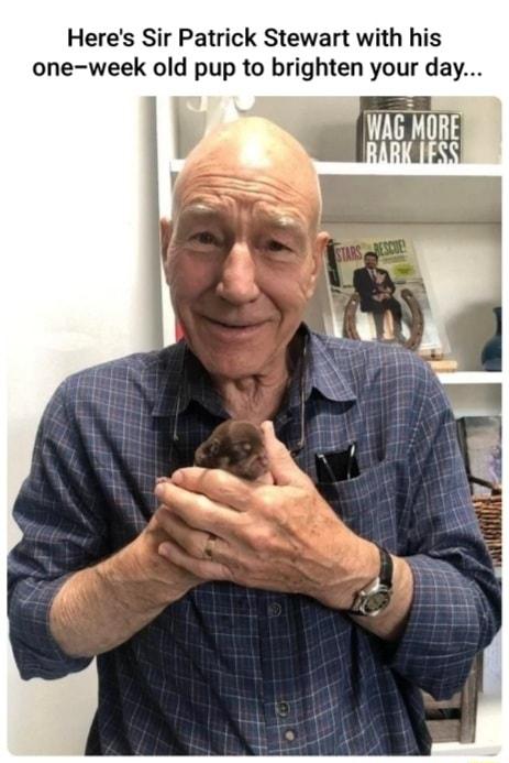Heres Sir Patrick Stewart with his one week old pup to brighten your day
