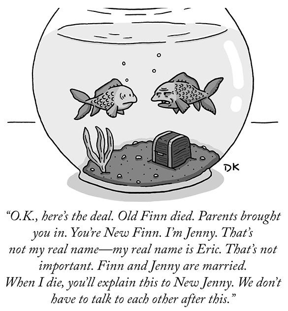 OK heres the deal Old Finn died Parents brought you in Youre New Finn Im Jenny Thats not my real namenmy real name is Eric Thats not important Finn and Jenny are married When I die youll explain this to New Jenny We dont have to talk to each other after this