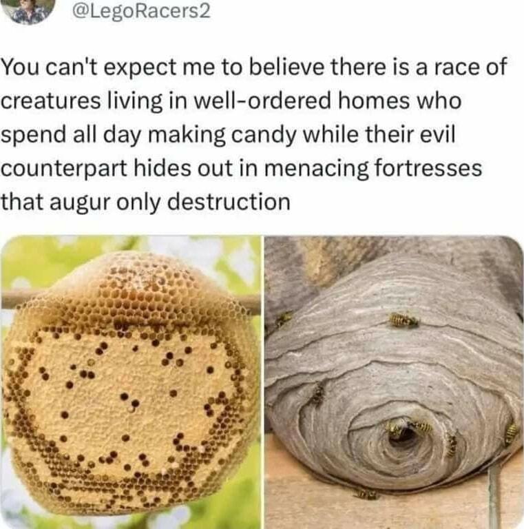 W LegoRacers2 You cant expect me to believe there is a race of creatures living in well ordered homes who spend all day making candy while their evil counterpart hides out in menacing fortresses that augur only destruction