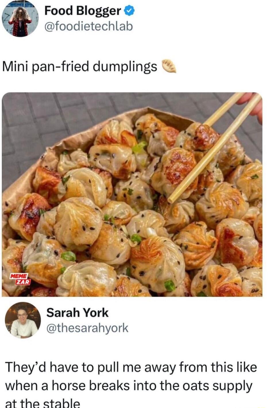 Food Blogger foodietechlab Mini pan fried dumplings a Sarah York i_y thesarahyork Theyd have to pull me away from this like when a horse breaks into the oats supply at the etable