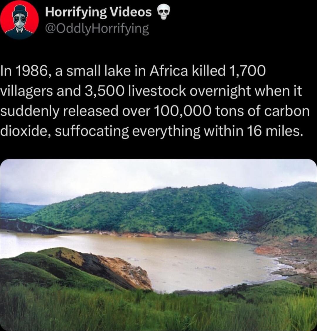 Q Horrifying Videos YddlyHorrifyi In 1986 a small lake in Africa killed 1700 villagers and 3500 livestock overnight when it suddenly released over 100000 tons of carbon dioxide suffocating everything within 16 miles