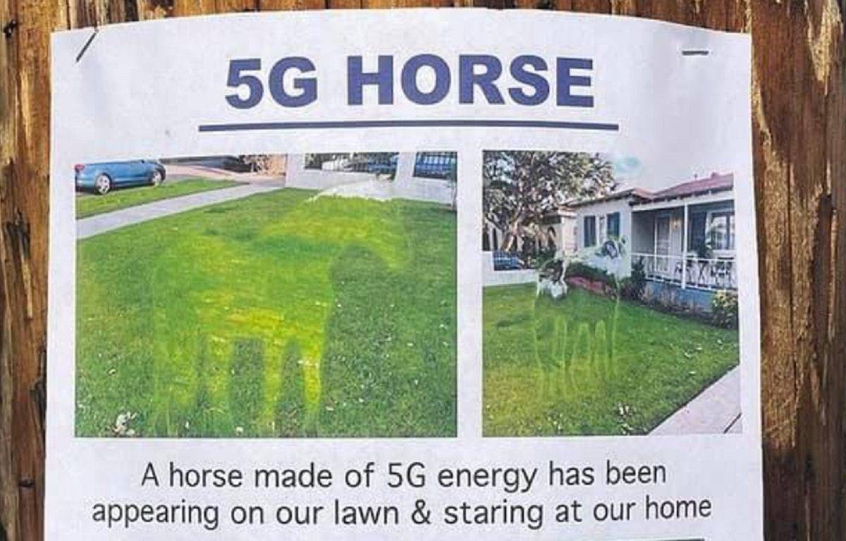 A horse made of 5G energy has been appearing on our lawn staring at our home