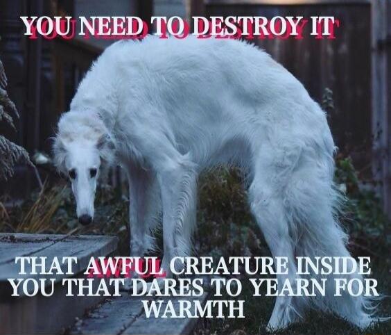 YOU NEED TO DESTROY IT THAT AWFUL CREATURE INSIDE YOU THAT DARES TO YEARN FOR WARMTH