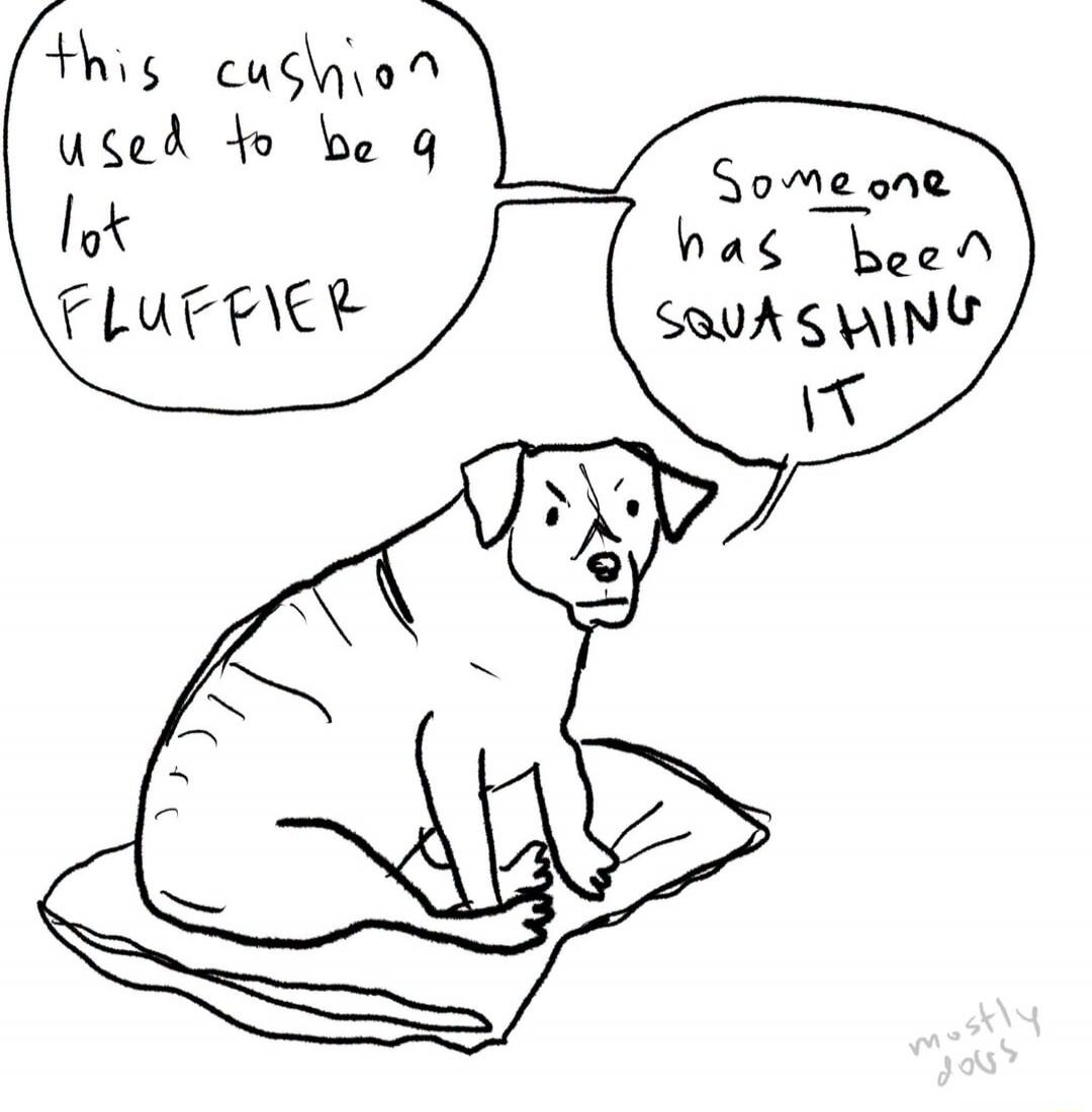 This cushion used to be a lot fluffier. Someone has been squashing it.