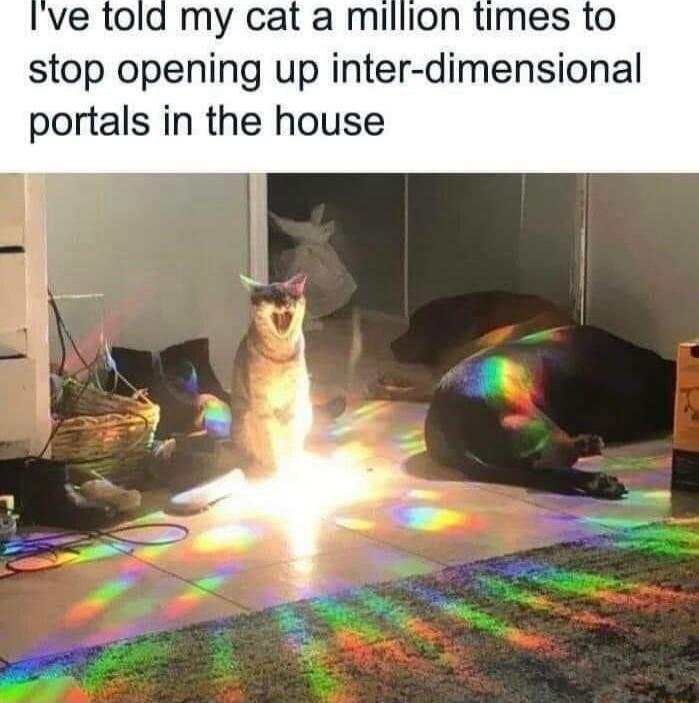 ve told my cat a million times to stop opening up inter dimensional portals in the house