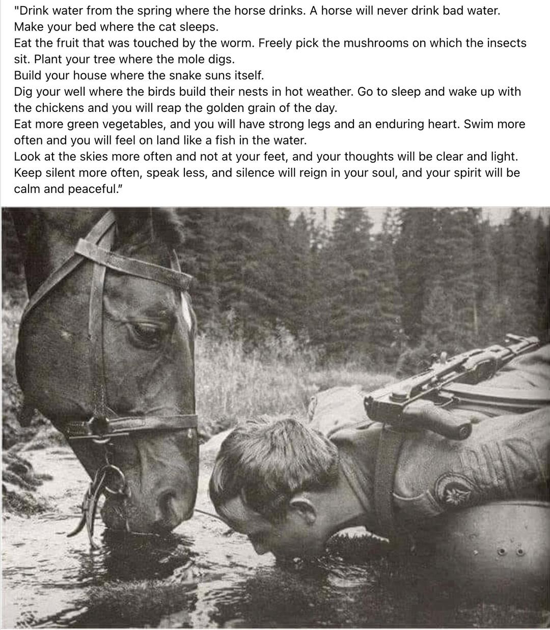 Drink water from the spring where the horse drinks A horse will never drink bad water Make your bed where the ca se Eat the frut that was touched by the worm Frely pick the mushiooms on wich the ns Plant your ee where the mole igs Build your house where the snake suns st Dig your well where the bids buld their nests in ot weatherGo 0 sieep and wake up vith he chickens and you will eap the golden g