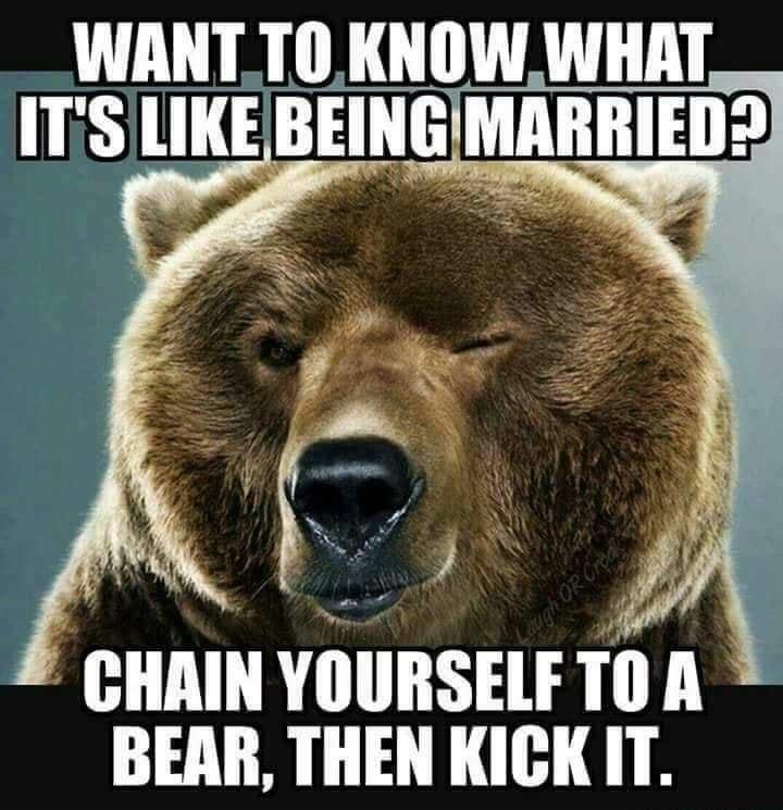 WANTTO KNOW WHAT ITiS lIIEBEINGMABBIEIl CHAIN YOURSELF TO A BEAR THEN KICK IT