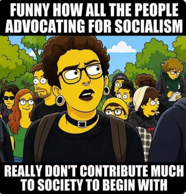 FUNNY HOW ALL THE PEOPLE ADVOCATING FOR SOCIALISM REALLY DON'T CONTRIBUTE MUCH TO SOCIETY TO BEGIN WITH
