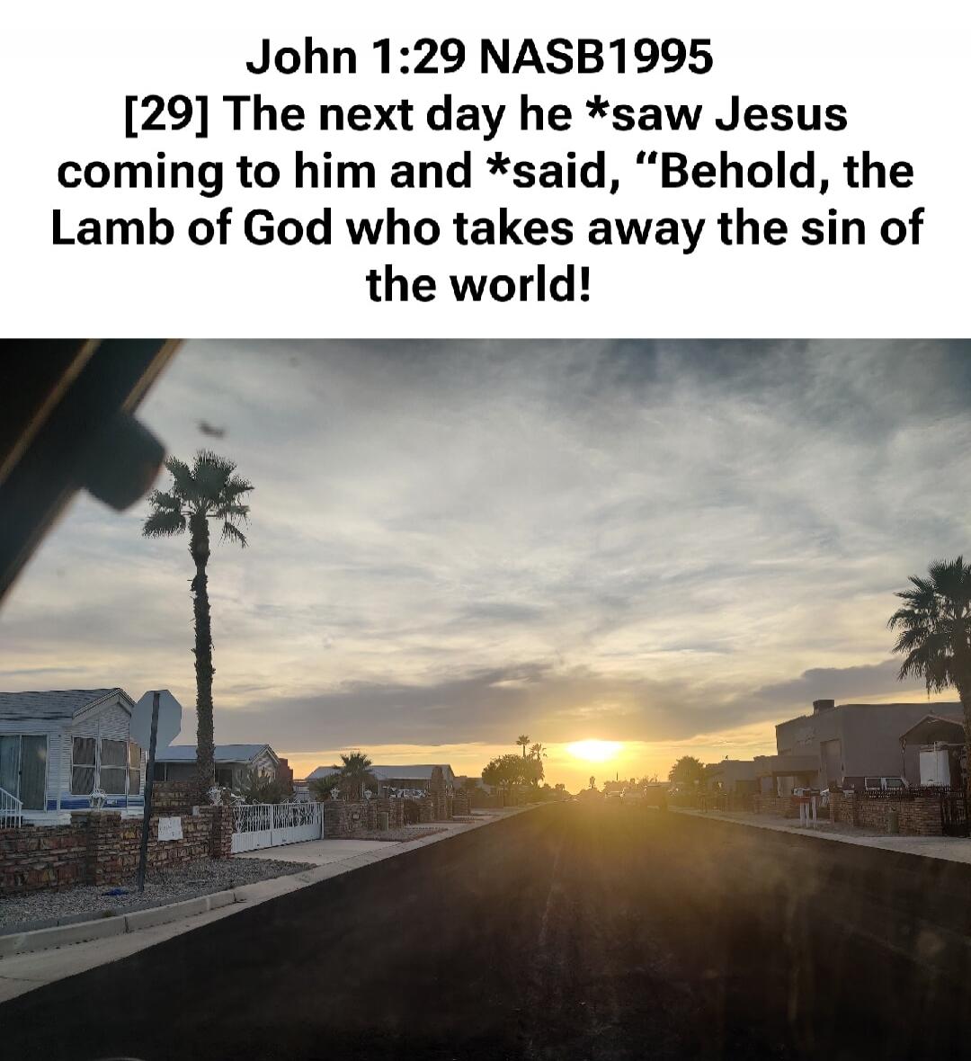 John 1:29 NASB1995 [29] The next day he *saw Jesus coming to him and *said, 