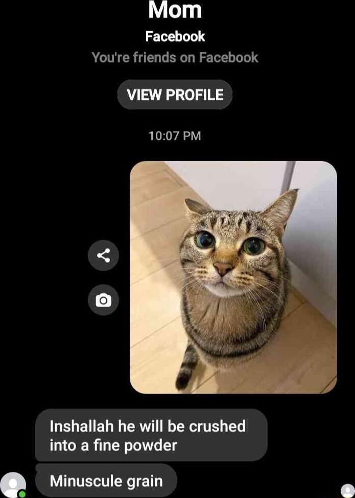 Mom Facebook Youre friends on Facebook VIEW PROFILE 1007 PM GELENEL I ERI LR TR B into a fine powder Q Minuscule grain