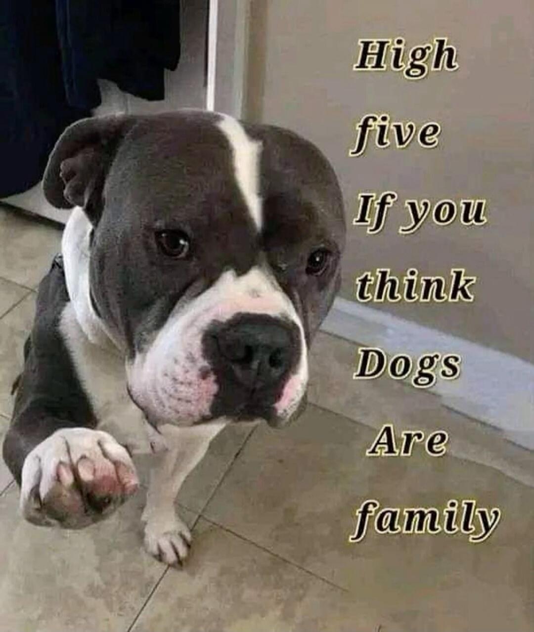 High five If you think Dogs Are family