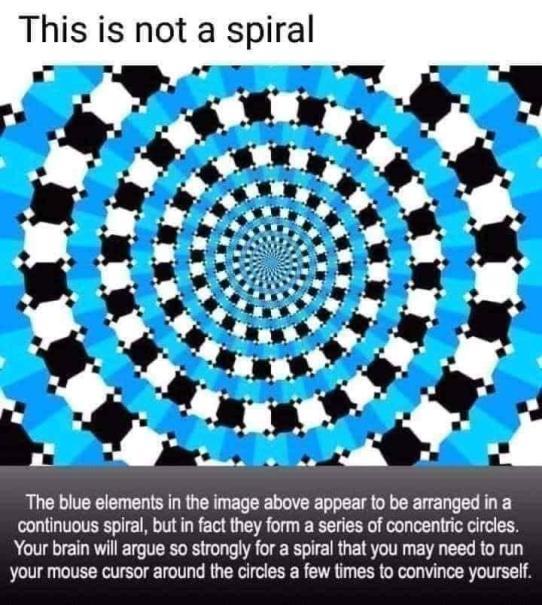 This is not a spiral The blue elements in the image above appear to be arranged in a continuous spiral but in fact they form a series of concentric circles Your brain will argue so strongly for a spiral that you may need to run your mouse cursor around the circles a few times to convince yourself