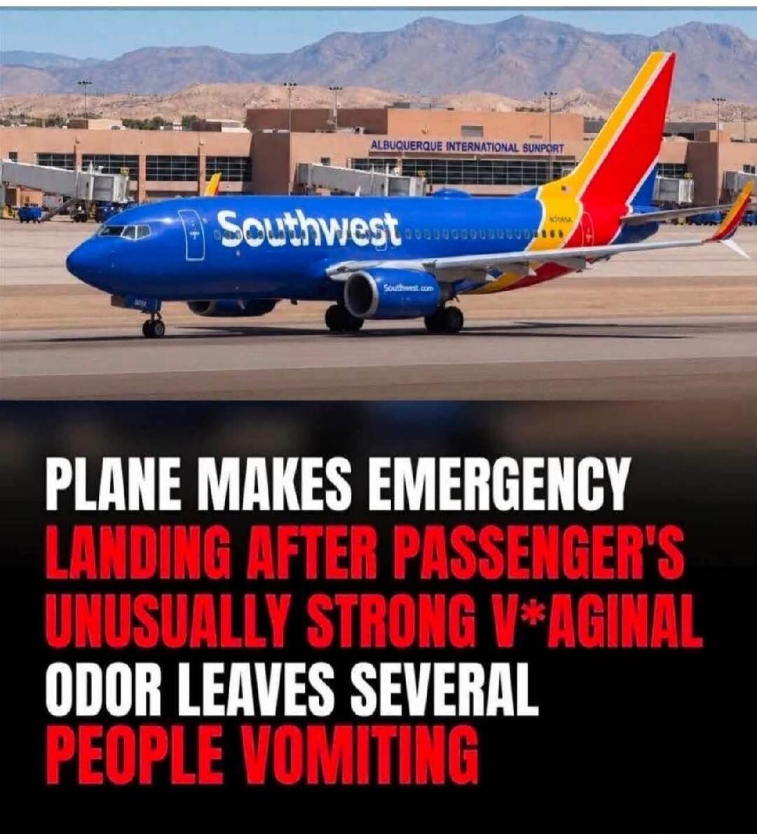 Southwest. ALBUQUERQUE INTERNATIONAL SUNPORT. PLANE MAKES EMERGENCY LANDING AFTER PASSENGER'S UNUSUALLY STRONG V*AGINAL ODOR LEAVES SEVERAL PEOPLE VOMITING.