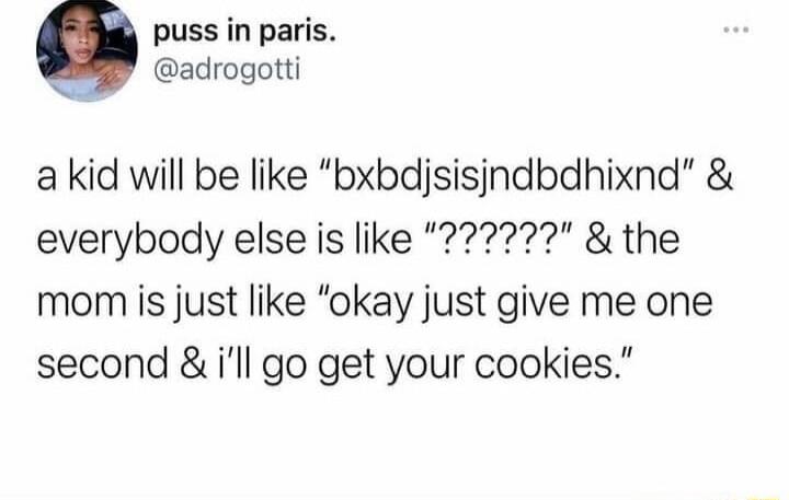 puss in paris a kid will be like bxbdjsisjndbdhixnd mom is just like okay just give me one second ill go get your cookies
