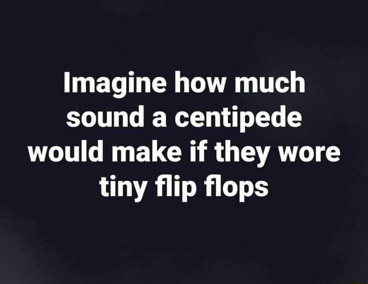 Imagine how much sound a centipede UGN ELCR R G VAT tiny flip flops