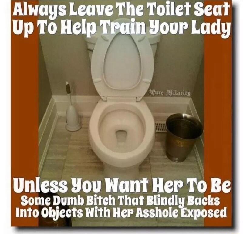 Rlways Leave The Toilet Seat Up To Help TrainYour Lady Unless You Want Her To Be Some Dumb Bitch That Blindly Backs Into Ohjects With Her Asshole Exposed