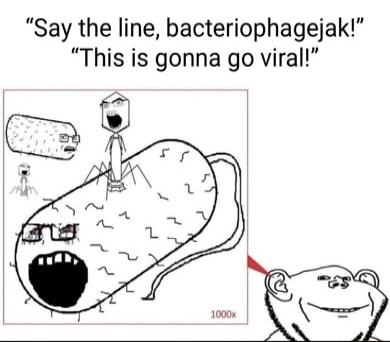 Say the line bacteriophagejak This is gonna go viral