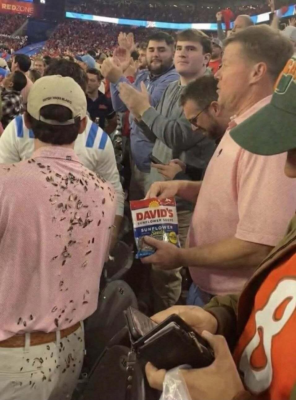 DAVID'S SUNFLOWER SEEDS