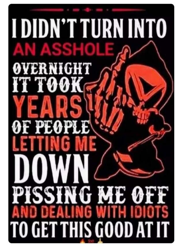 I DIDN'T TURN INTO AN ASSHOLE OVERNIGHT IT TOOK YEARS OF PEOPLE LETTING ME DOWN PISSING ME OFF AND DEALING WITH IDIOTS TO GET THIS GOOD AT IT