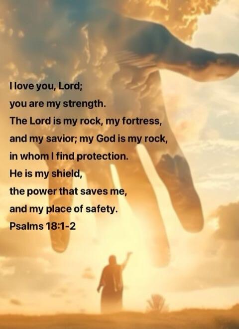 I love you, Lord; you are my strength. The Lord is my rock, my fortress, and my savior; my God is my rock, in whom I find protection. He is my shield, the power that saves me, and my place of safety. Psalms 18:1-2