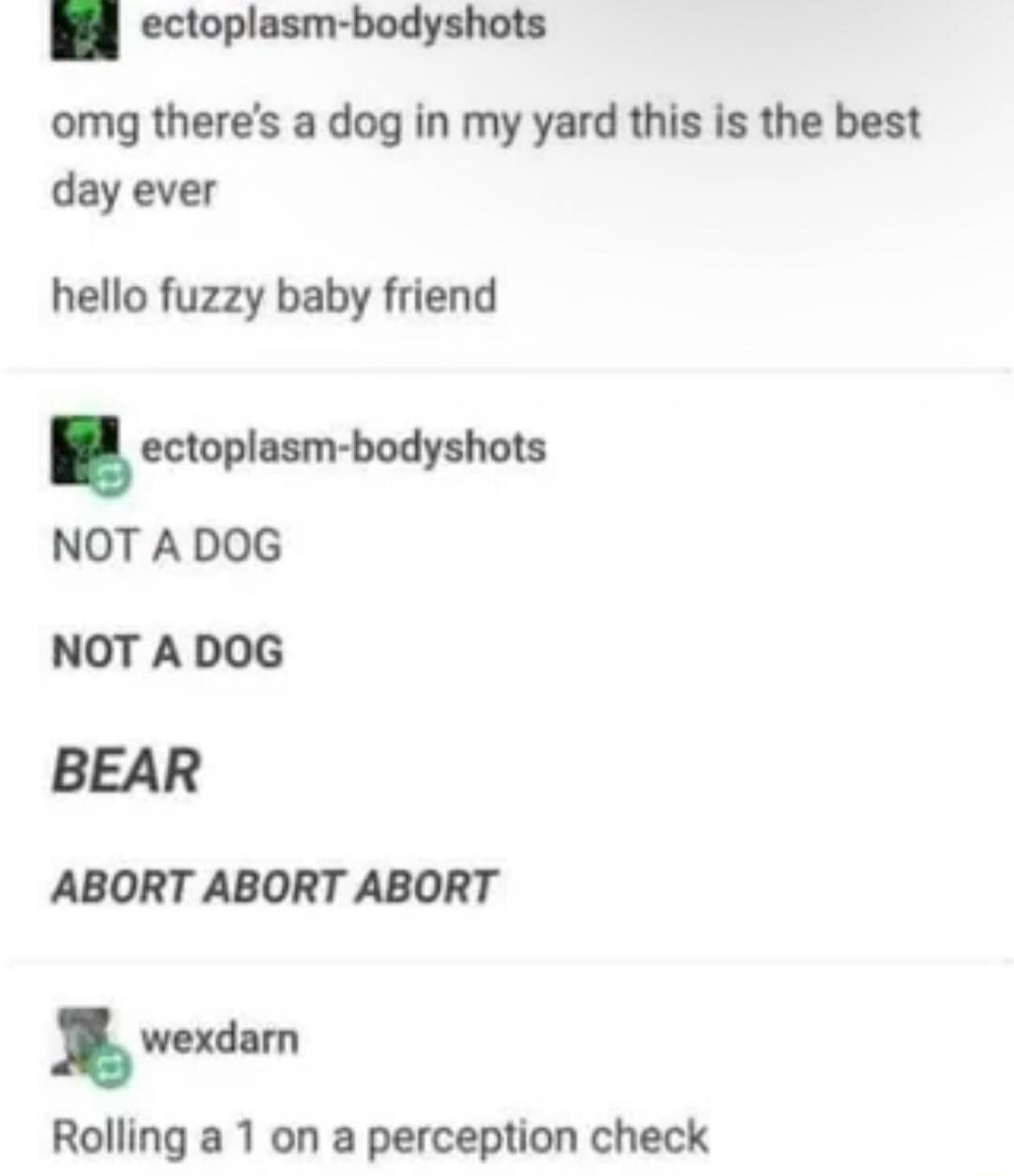 omg there's a dog in my yard this is the best day ever hello fuzzy baby friend NOT A DOG NOT A DOG BEAR ABORT ABORT ABORT Rolling a 1 on a perception check