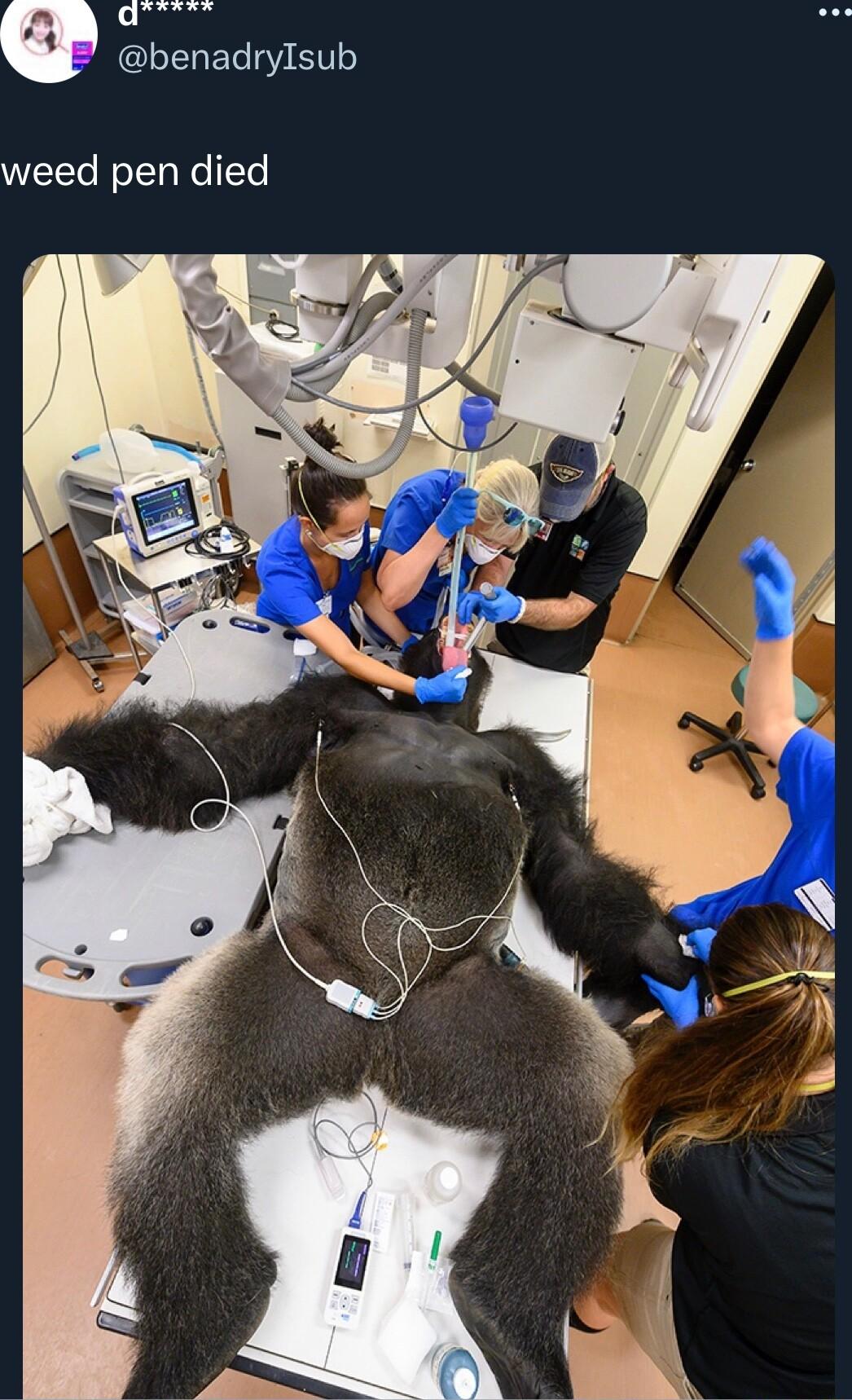 ET I T weed pen died