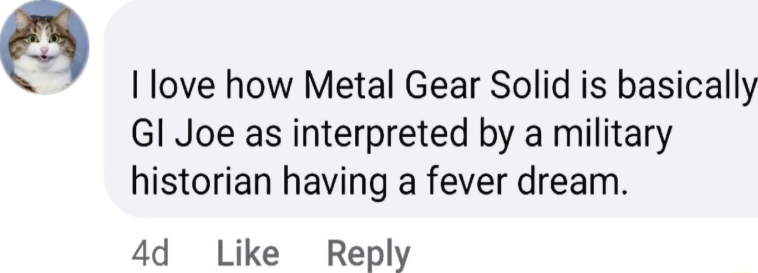 E I love how Metal Gear Solid is basically Gl Joe as interpreted by a military historian having a fever dream 4d Like Reply