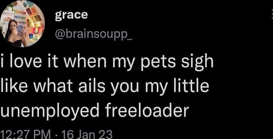 grace LTEIGEGITTT o i love it when my pets sigh like what ails you my little unemployed freeloader 12927 PM 16 Jan 23
