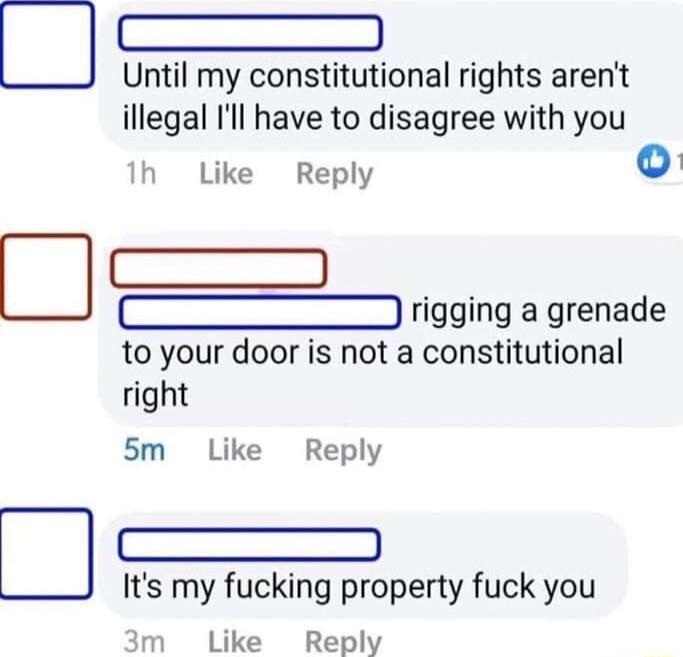 C Until my constitutional rights arent illegal Il have to disagree with you 1h Like Reply o _rigging a grenade to your door is not a constitutional right 5m Like Reply e Its my fucking property fuck you 3m Like Reply