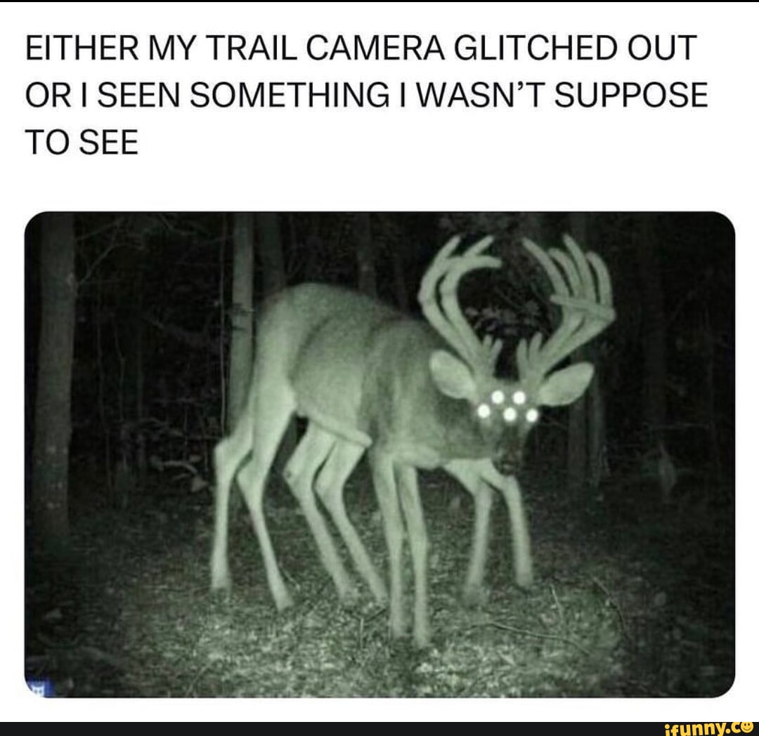 EITHER MY TRAIL CAMERA GLITCHED OUT OR SEEN SOMETHING WASNT SUPPOSE TO SEE