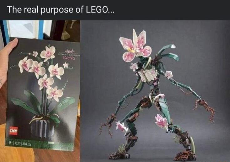 The real purpose of LEGO