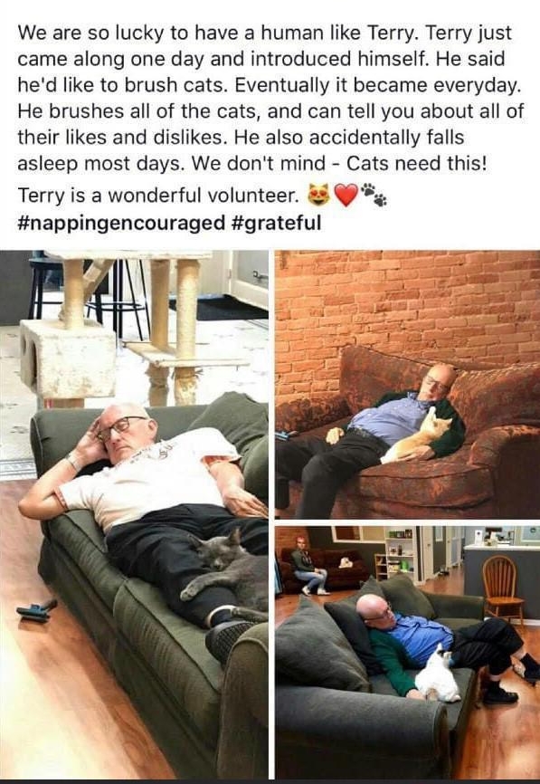 We are so lucky to have a human like Terry Terry just came along one day and introduced himself He said hed like to brush cats Eventually it became everyday He brushes all of the cats and can tell you about all of their likes and dislikes He also accidentally falls asleep most days We dont mind Cats need this Terry is a wonderful volunteer nappingencouraged grateful